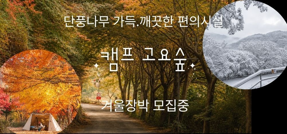 캠프고요숲
