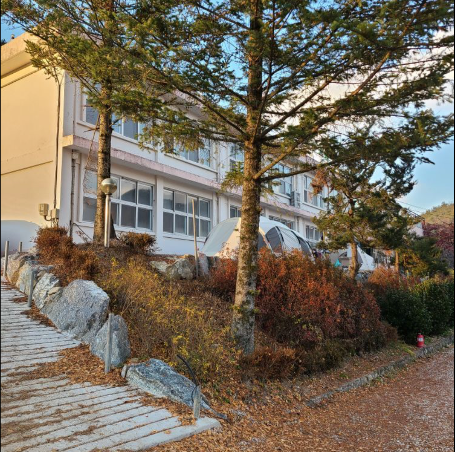 시골학교캠핑장