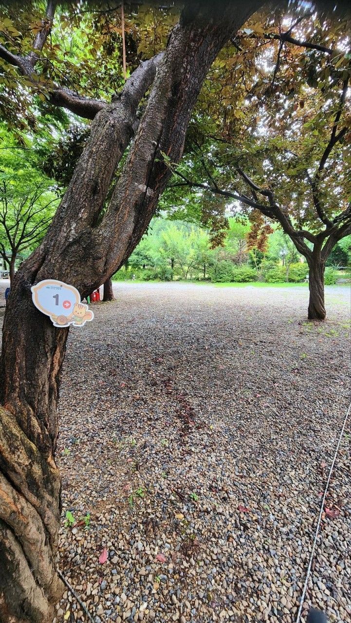 다그린캠핑장 주변 풍경