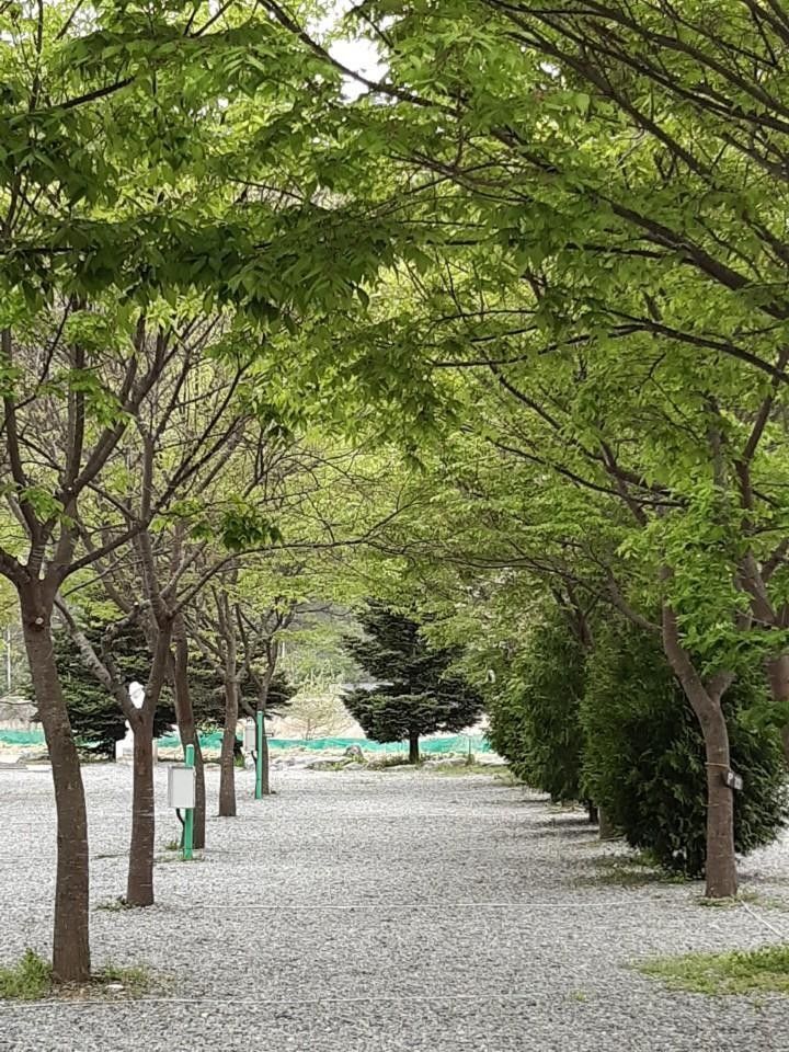 다그린캠핑장 외관
