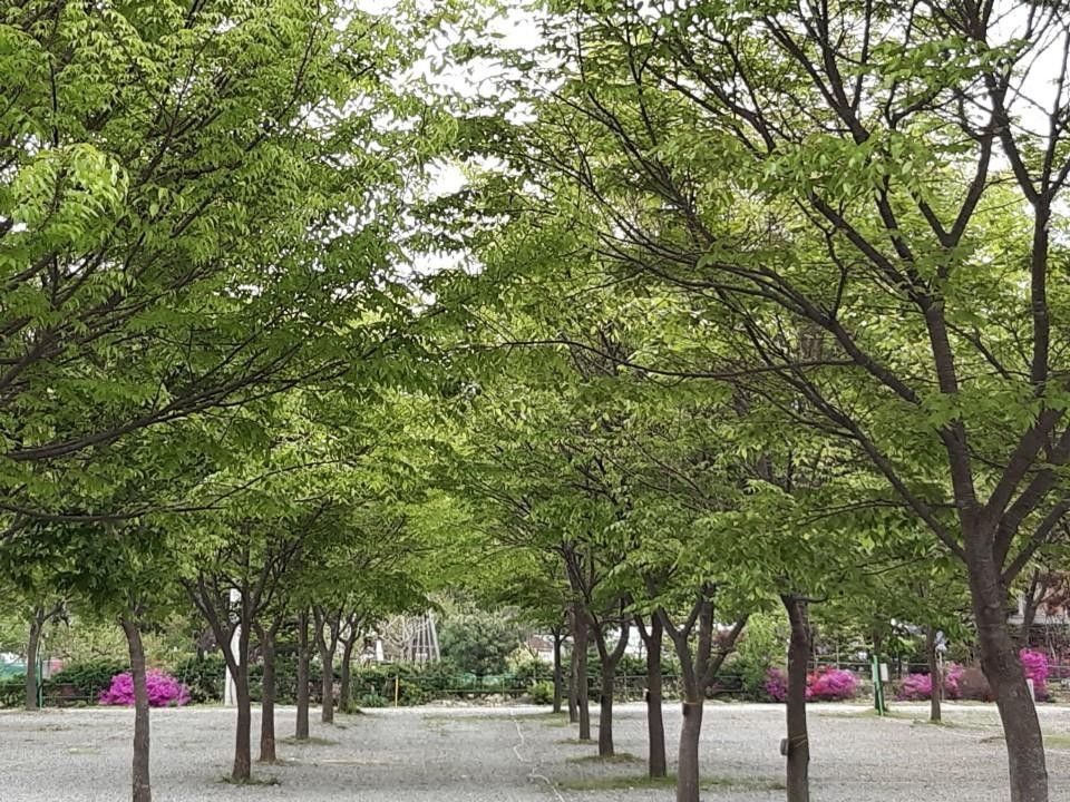 다그린캠핑장 외관