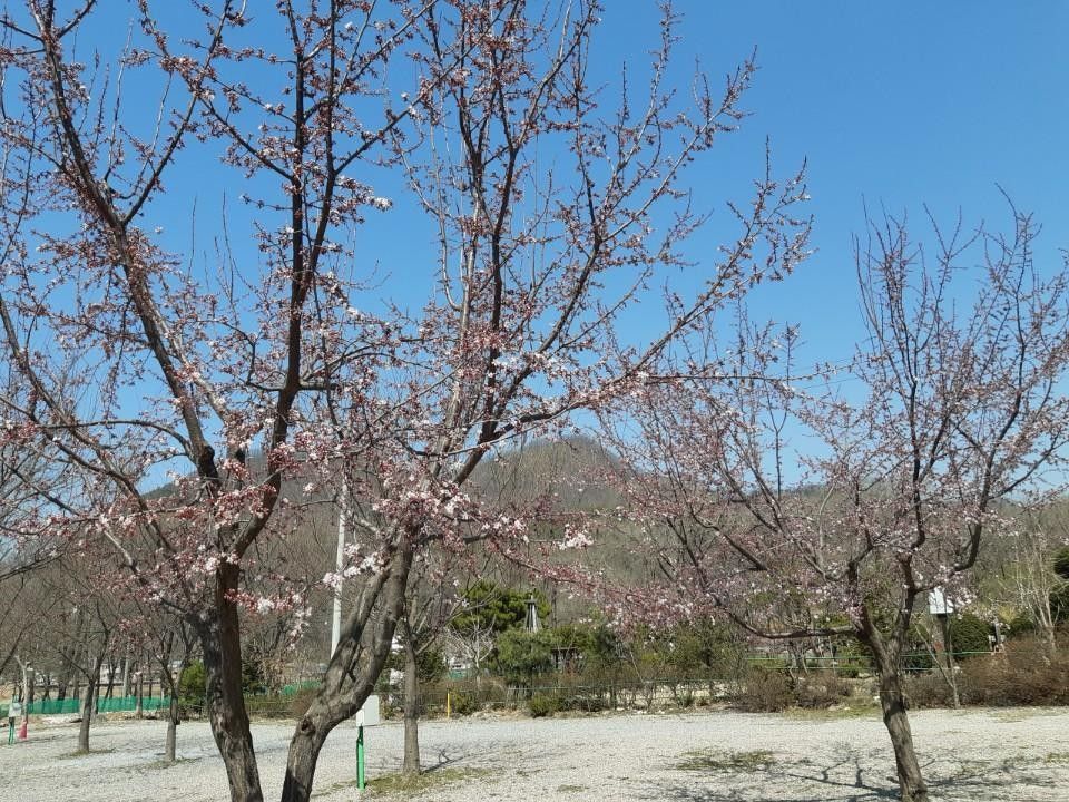 다그린캠핑장 부대시설