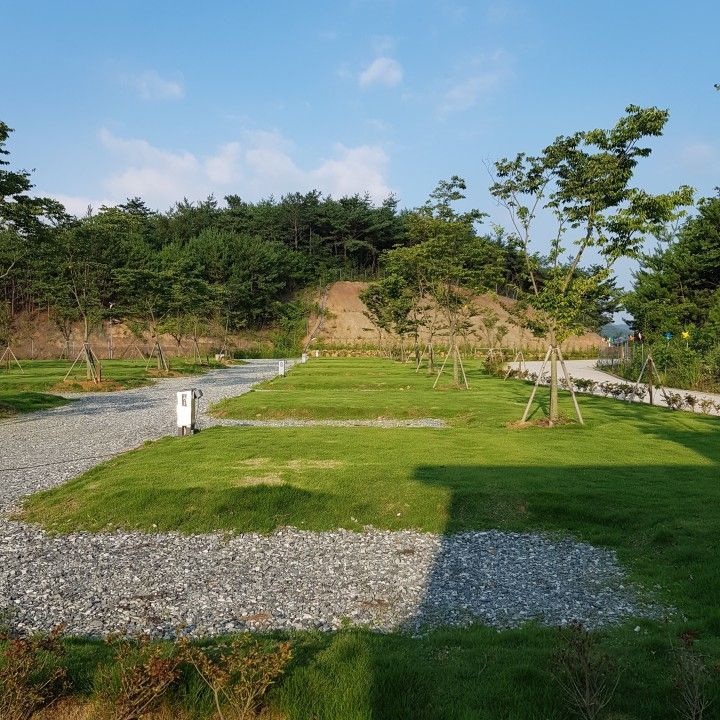 베리굿 오토캠핑장