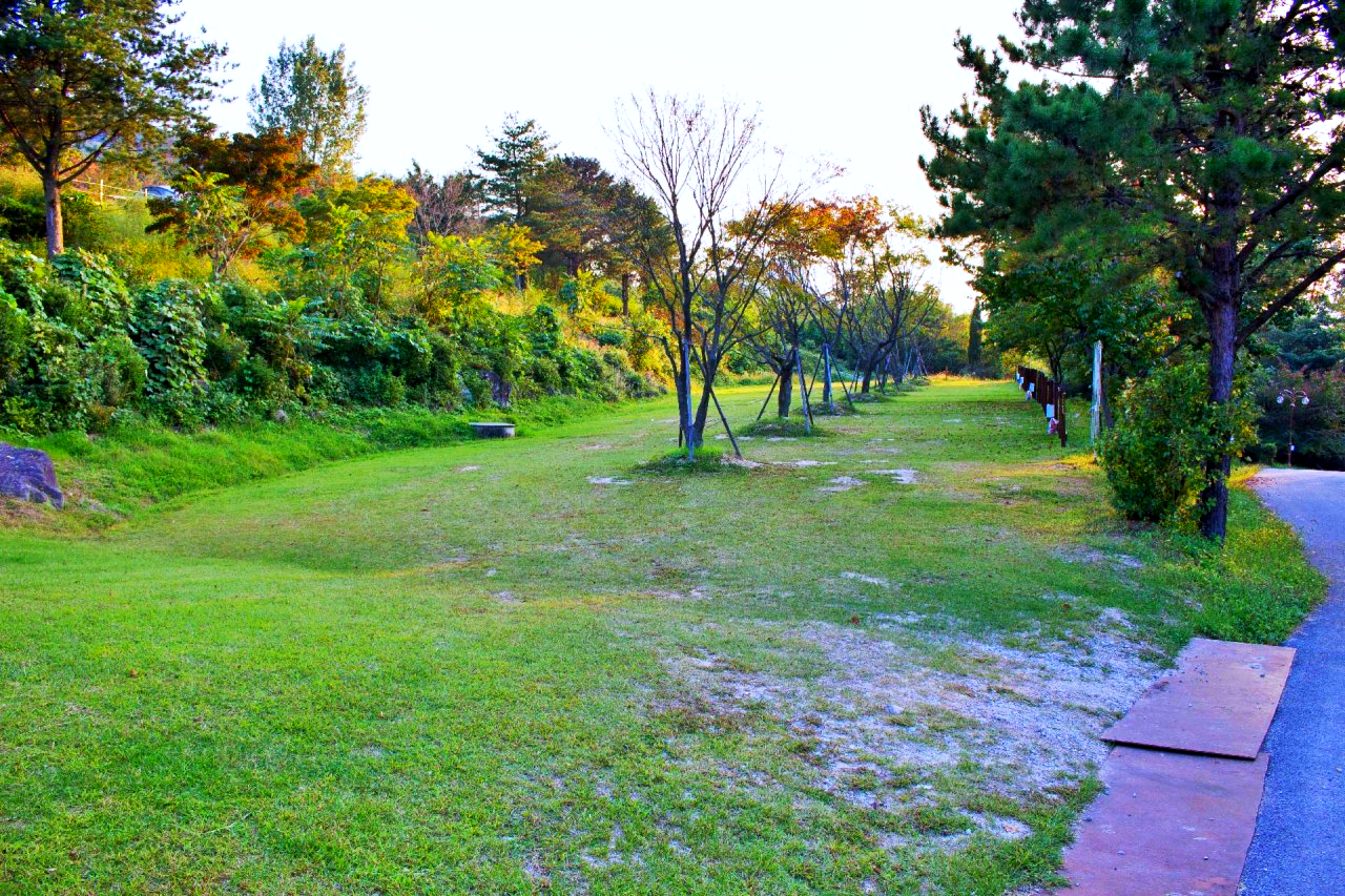 서대산 드림 캠핑파크