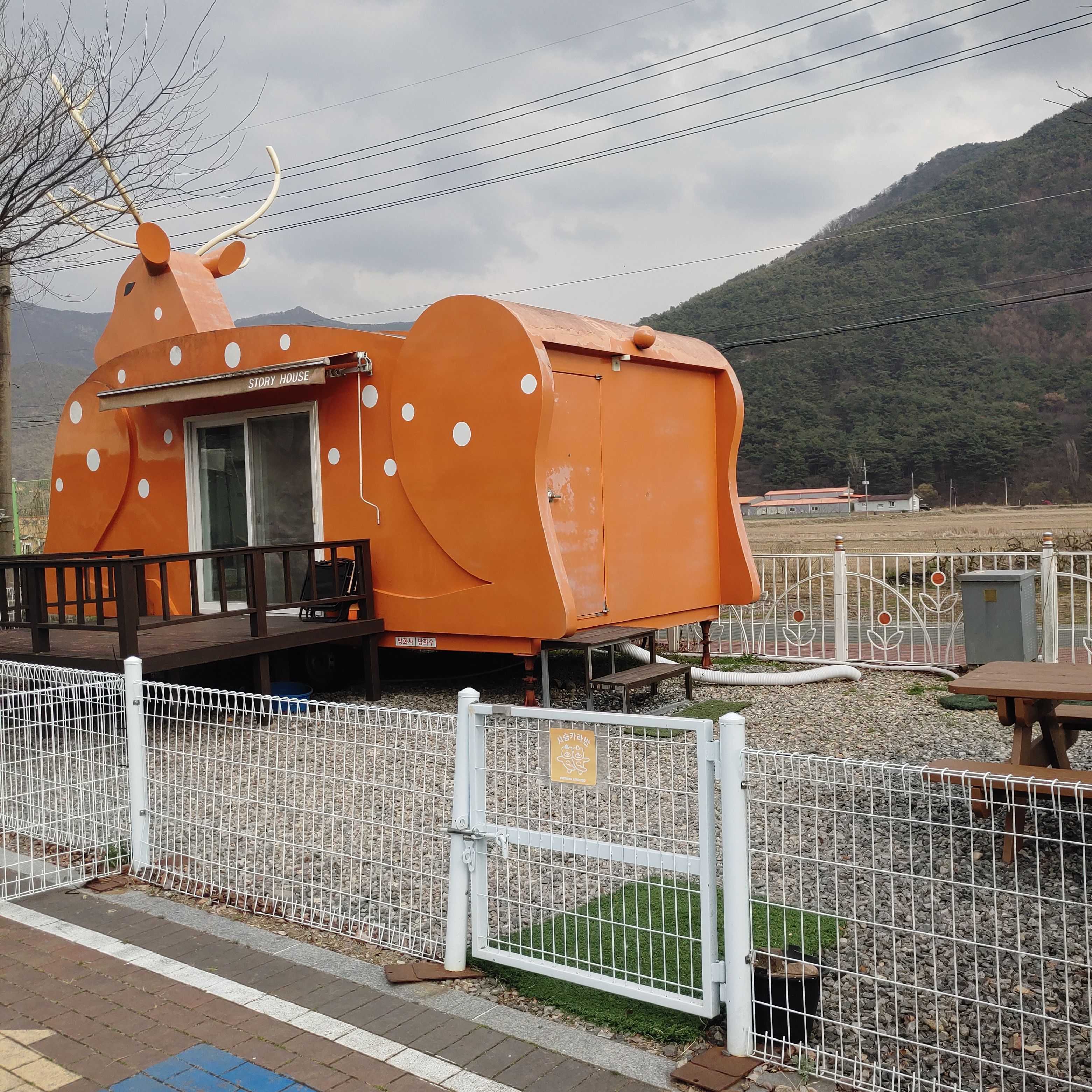 원더랜드
