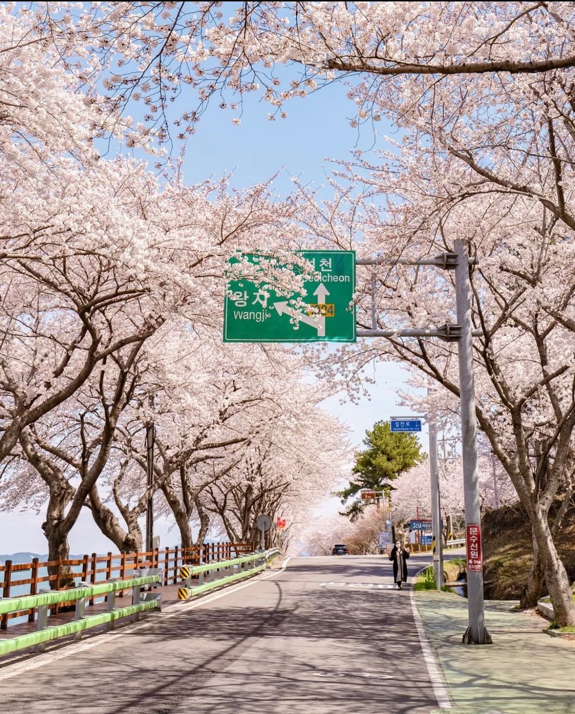 오시오캠프