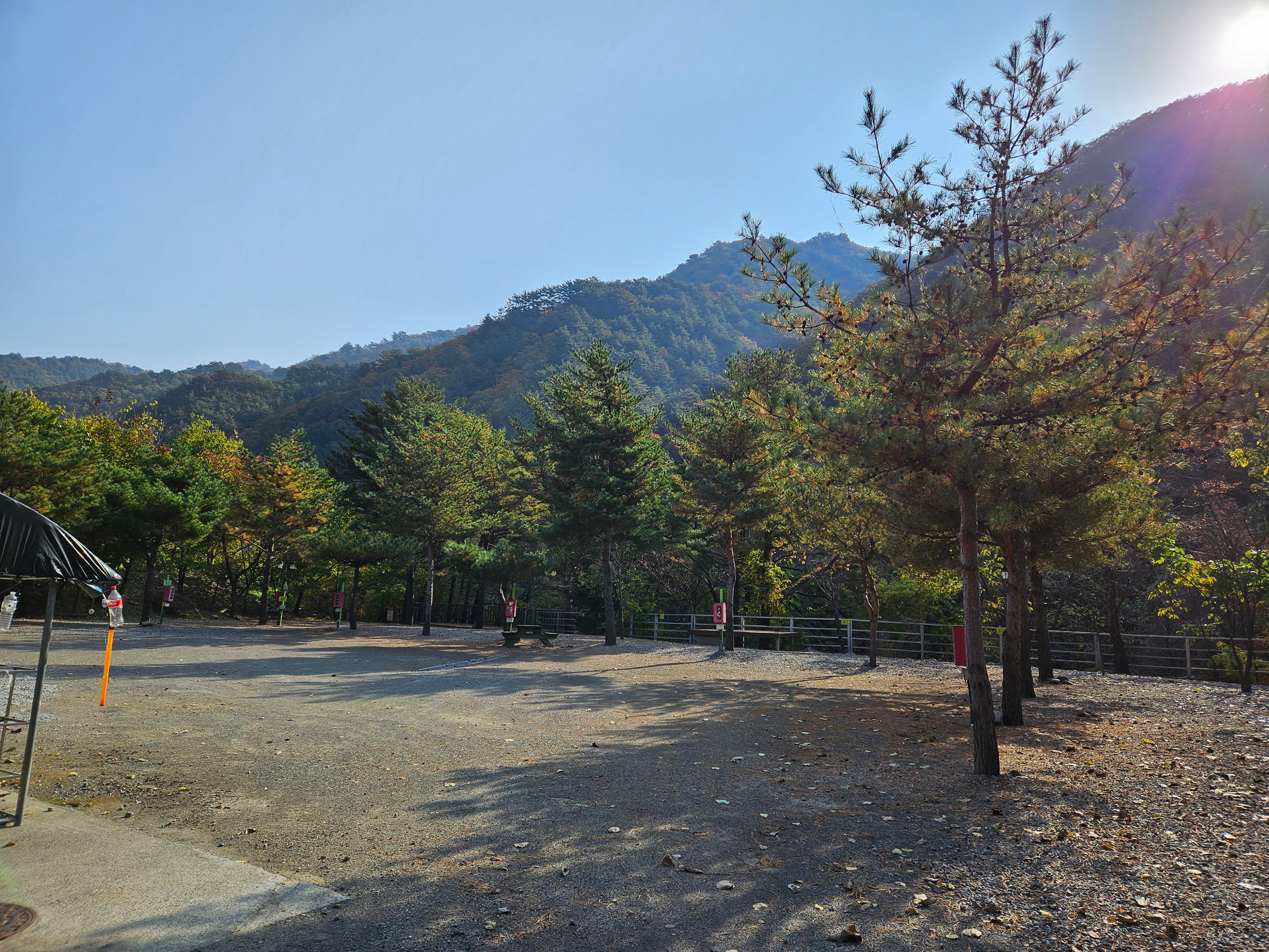 그루터기캠핑장