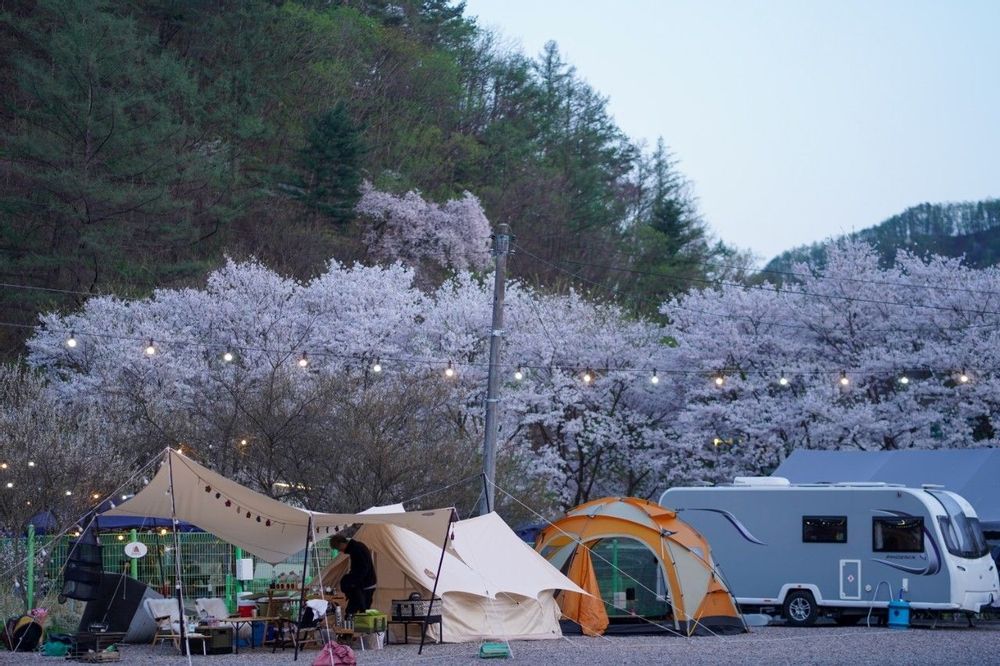 강촌캠핑장