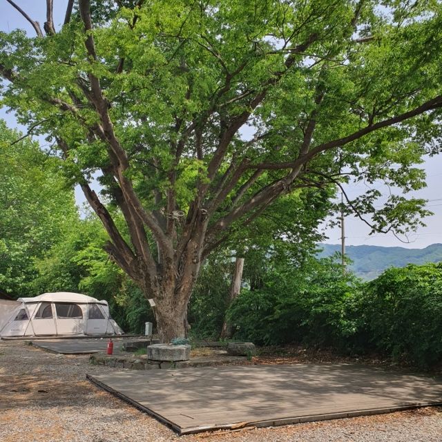 충주반딧불 오토캠핑장